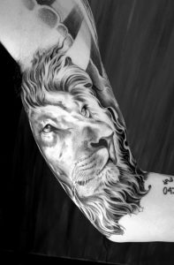 Tattoo Lion